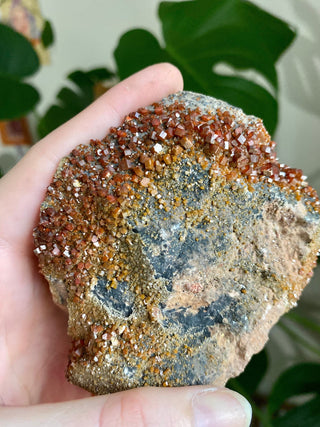 Vanadinite Cluster - Creativity & Energy from Curious Muse Crystals Tagged with bright red crystal, creativity key, genuine crystal, hide-notify-btn, Moroccan Vanadinite, red, red crystal, red hexagon crystal, red Vanadinite, sacral chakra, shadow work, vanadinite cluster