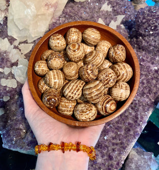 Aragonite Tumbled Stone from Curious Muse Crystals Tagged with anxiety stone, banded aragonite, brown, brown aragonite, Crystal healing, earth healing, genuine crystal, geopathic stress, gridding crystal, grounding crystal, reiki work, root chakra, stress release, tumbled stone, yellow