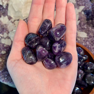Amethyst Tumbled Stone from Curious Muse Crystals Tagged with amethyst, amethyst tumbled, Brazilian amethyst, chevron amethyst, Crystal healing, dark purple amethyst, emotional balance, genuine crystal, high vibrational, inspiration wisdom, purple, purple Quartz, reiki work, third eye, tumbled stone