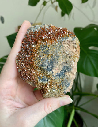 Vanadinite Cluster - Creativity & Energy from Curious Muse Crystals Tagged with bright red crystal, creativity key, genuine crystal, hide-notify-btn, Moroccan Vanadinite, red, red crystal, red hexagon crystal, red Vanadinite, sacral chakra, shadow work, vanadinite cluster
