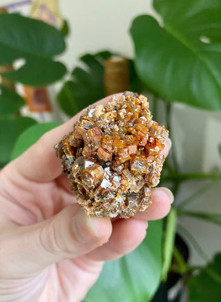 Vanadinite Cluster - Creativity & Energy from Curious Muse Crystals Tagged with bright red crystal, creativity key, genuine crystal, hide-notify-btn, Moroccan Vanadinite, red, red crystal, red hexagon crystal, red Vanadinite, sacral chakra, shadow work, vanadinite cluster