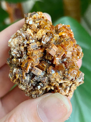 Vanadinite Cluster - Creativity & Energy from Curious Muse Crystals Tagged with bright red crystal, creativity key, genuine crystal, hide-notify-btn, Moroccan Vanadinite, red, red crystal, red hexagon crystal, red Vanadinite, sacral chakra, shadow work, vanadinite cluster
