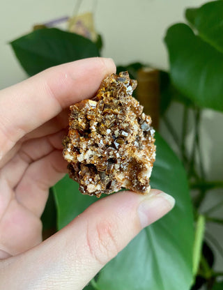 Vanadinite Cluster - Creativity & Energy from Curious Muse Crystals Tagged with bright red crystal, creativity key, genuine crystal, hide-notify-btn, Moroccan Vanadinite, red, red crystal, red hexagon crystal, red Vanadinite, sacral chakra, shadow work, vanadinite cluster