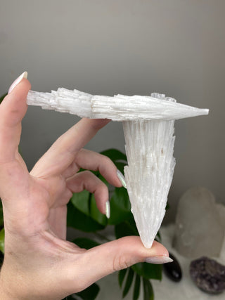 Scolecite Spray Raw Mineral - Triple Cluster - Maharashtra, India from Curious Muse Crystals Tagged with crystal energy, fine mineral, hide-notify-btn, india, raw, reiki healing, scolecite, white, zeolite