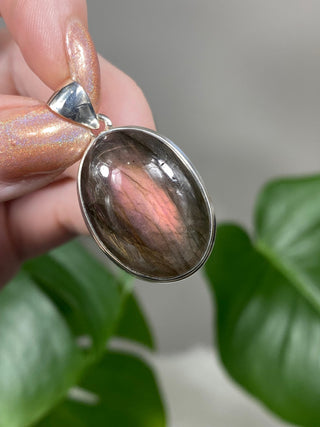 Pink Flash Labradorite in Sterling Silver Pendant - PL5 from Curious Muse Crystals Tagged with big crystal necklace, crystal energy, Crystal Jewelry, full flash lab, hide-notify-btn, Labradorite, peachy labradorite, pink purple lab, psychic protection, reiki healing, silver crystal jewel, sterling silver, witchy jewelry
