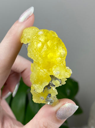 Yellow Brucite - High Grade Collector Mineral - Pakistan from Curious Muse Crystals Tagged with collector mineral, confidence stone, fine mineral, fire solar energy, hide-notify-btn, High grade brucite, Pakistani brucite, rare high end, solar plexus work, yellow, yellow crystal