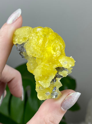 Yellow Brucite - High Grade Collector Mineral - Pakistan from Curious Muse Crystals Tagged with collector mineral, confidence stone, fine mineral, fire solar energy, hide-notify-btn, High grade brucite, Pakistani brucite, rare high end, solar plexus work, yellow, yellow crystal