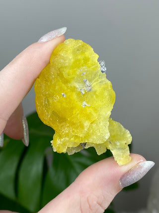 Yellow Brucite - High Grade Collector Mineral - Pakistan from Curious Muse Crystals Tagged with collector mineral, confidence stone, fine mineral, fire solar energy, hide-notify-btn, High grade brucite, Pakistani brucite, rare high end, solar plexus work, yellow, yellow crystal