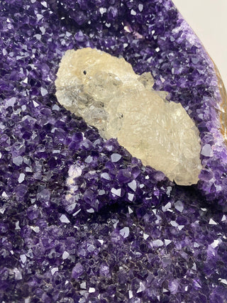 Deep Purple Amethyst with Calcite | Cut Base Geode from Uruguay from Curious Muse Crystals Tagged with aaa grade crystal, amethyst, Amethyst Cluster, calcite on amethyst, cut base amethyst, emotional balance, extra dark amethyst, goethite amethyst, high grade, high vibrational, purple, spiritual protection, third eye, unique amethyst, Uruguay geode