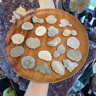 Fairy Stone from Canada - Calcium Carbonate Limestone from Curious Muse Crystals Tagged with abstract natural art, calcium carbonate, fairy stone, harricana stone, limestone cement, natural sculpture, natural witch stone, protection crystal