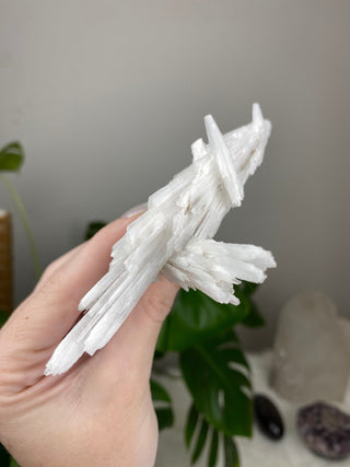 Scolecite Spray Raw Mineral - X Shape Double Cluster - Maharashtra, India from Curious Muse Crystals Tagged with crystal energy, fine mineral, hide-notify-btn, india, raw, reiki healing, scolecite, white, zeolite