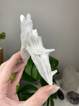 Scolecite Spray Raw Mineral - X Shape Double Cluster - Maharashtra, India from Curious Muse Crystals Tagged with crystal energy, fine mineral, hide-notify-btn, india, raw, reiki healing, scolecite, white, zeolite