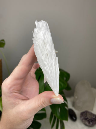Scolecite Spray Raw Mineral - Single Spray - Maharashtra, India from Curious Muse Crystals Tagged with crystal energy, fine mineral, hide-notify-btn, india, raw, reiki healing, scolecite, white, zeolite