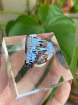 Etched Vanadinite Floater Cluster from Morocco from Curious Muse Crystals Tagged with bright red crystal, creativity key, genuine crystal, hide-notify-btn, Moroccan Vanadinite, red, red crystal, red hexagon crystal, red Vanadinite, sacral chakra, shadow work, vanadinite cluster