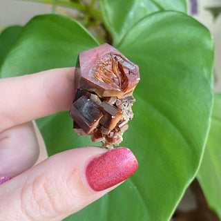 Etched Vanadinite Floater Cluster from Morocco from Curious Muse Crystals Tagged with bright red crystal, creativity key, genuine crystal, hide-notify-btn, Moroccan Vanadinite, red, red crystal, red hexagon crystal, red Vanadinite, sacral chakra, shadow work, vanadinite cluster