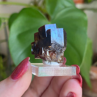 Etched Vanadinite Floater Cluster from Morocco from Curious Muse Crystals Tagged with bright red crystal, creativity key, genuine crystal, hide-notify-btn, Moroccan Vanadinite, red, red crystal, red hexagon crystal, red Vanadinite, sacral chakra, shadow work, vanadinite cluster