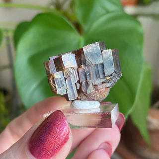 Etched Vanadinite Floater Cluster from Morocco from Curious Muse Crystals Tagged with bright red crystal, creativity key, genuine crystal, hide-notify-btn, Moroccan Vanadinite, red, red crystal, red hexagon crystal, red Vanadinite, sacral chakra, shadow work, vanadinite cluster
