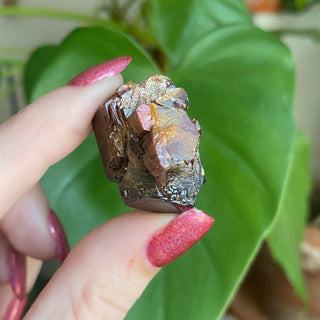 Etched Vanadinite Floater Cluster from Morocco from Curious Muse Crystals Tagged with bright red crystal, creativity key, genuine crystal, hide-notify-btn, Moroccan Vanadinite, red, red crystal, red hexagon crystal, red Vanadinite, sacral chakra, shadow work, vanadinite cluster
