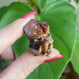 Etched Vanadinite Floater Cluster from Morocco from Curious Muse Crystals Tagged with bright red crystal, creativity key, genuine crystal, hide-notify-btn, Moroccan Vanadinite, red, red crystal, red hexagon crystal, red Vanadinite, sacral chakra, shadow work, vanadinite cluster