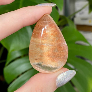 Lemurian Inclusion Quartz | Semi-polished Lens from Curious Muse Crystals Tagged with clear, clear quartz, Crown crystal, hide-notify-btn, Lemurian Quartz, meditation stone, quartz, shaman stone, silica inclusion, yellow