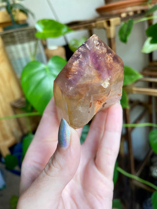 Dreamcoat Lemurian Generator - Polished Brazilian Tower Crystal from Curious Muse Crystals Tagged with clear, clear brazil quartz, dreamcoat lemurian, goethite rutile, hematite amethyst, hide-notify-btn, lemurian, lemurian generator, lemurian seed, purple, red, secondary growth, super seven, synergy seven, yellow