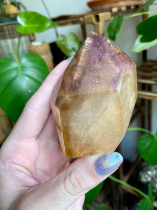 Dreamcoat Lemurian Generator - Polished Brazilian Tower Crystal from Curious Muse Crystals Tagged with clear, clear brazil quartz, dreamcoat lemurian, goethite rutile, hematite amethyst, hide-notify-btn, lemurian, lemurian generator, lemurian seed, purple, red, secondary growth, super seven, synergy seven, yellow