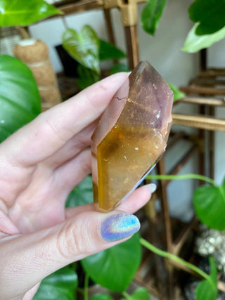 Dreamcoat Lemurian Generator - Polished Brazilian Tower Crystal from Curious Muse Crystals Tagged with clear, clear brazil quartz, dreamcoat lemurian, goethite rutile, hematite amethyst, hide-notify-btn, lemurian, lemurian generator, lemurian seed, purple, red, secondary growth, super seven, synergy seven, yellow