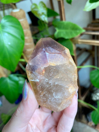 Dreamcoat Lemurian Generator - Polished Brazilian Tower Crystal from Curious Muse Crystals Tagged with clear, clear brazil quartz, dreamcoat lemurian, goethite rutile, hematite amethyst, hide-notify-btn, lemurian, lemurian generator, lemurian seed, purple, red, secondary growth, super seven, synergy seven, yellow