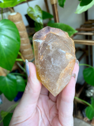 Dreamcoat Lemurian Generator - Polished Brazilian Tower Crystal from Curious Muse Crystals Tagged with clear, clear brazil quartz, dreamcoat lemurian, goethite rutile, hematite amethyst, hide-notify-btn, lemurian, lemurian generator, lemurian seed, purple, red, secondary growth, super seven, synergy seven, yellow