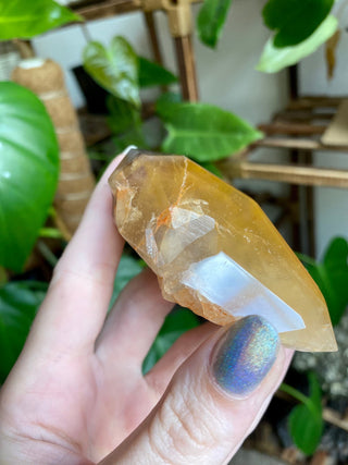 Dreamcoat Lemurian Generator - Polished Brazilian Tower Crystal from Curious Muse Crystals Tagged with clear, clear brazil quartz, dreamcoat lemurian, goethite rutile, hematite amethyst, hide-notify-btn, lemurian, lemurian generator, lemurian seed, purple, red, secondary growth, super seven, synergy seven, yellow