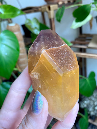 Dreamcoat Lemurian Generator - Polished Brazilian Tower Crystal from Curious Muse Crystals Tagged with clear, clear brazil quartz, dreamcoat lemurian, goethite rutile, hematite amethyst, hide-notify-btn, lemurian, lemurian generator, lemurian seed, purple, red, secondary growth, super seven, synergy seven, yellow
