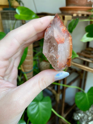 Dreamcoat Lemurian Generator - Polished Brazilian Tower Crystal from Curious Muse Crystals Tagged with clear, clear brazil quartz, dreamcoat lemurian, goethite rutile, hematite amethyst, hide-notify-btn, lemurian, lemurian generator, lemurian seed, purple, red, secondary growth, super seven, synergy seven, yellow