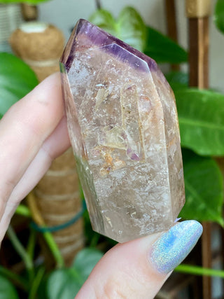Dreamcoat Lemurian Generator - Polished Brazilian Tower Crystal from Curious Muse Crystals Tagged with clear, clear brazil quartz, dreamcoat lemurian, goethite rutile, hematite amethyst, hide-notify-btn, lemurian, lemurian generator, lemurian seed, purple, red, secondary growth, super seven, synergy seven, yellow