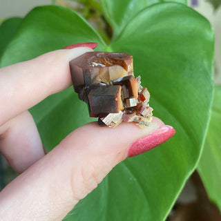 Etched Vanadinite Floater Cluster from Morocco from Curious Muse Crystals Tagged with bright red crystal, creativity key, genuine crystal, hide-notify-btn, Moroccan Vanadinite, red, red crystal, red hexagon crystal, red Vanadinite, sacral chakra, shadow work, vanadinite cluster