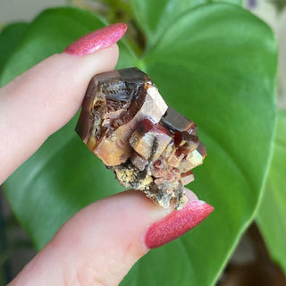 Etched Vanadinite Floater Cluster from Morocco from Curious Muse Crystals Tagged with bright red crystal, creativity key, genuine crystal, hide-notify-btn, Moroccan Vanadinite, red, red crystal, red hexagon crystal, red Vanadinite, sacral chakra, shadow work, vanadinite cluster