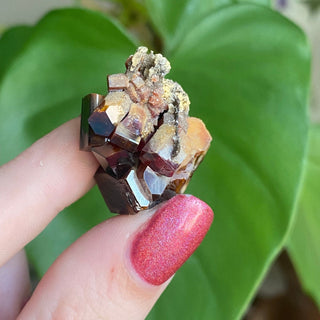 Etched Vanadinite Floater Cluster from Morocco from Curious Muse Crystals Tagged with bright red crystal, creativity key, genuine crystal, hide-notify-btn, Moroccan Vanadinite, red, red crystal, red hexagon crystal, red Vanadinite, sacral chakra, shadow work, vanadinite cluster
