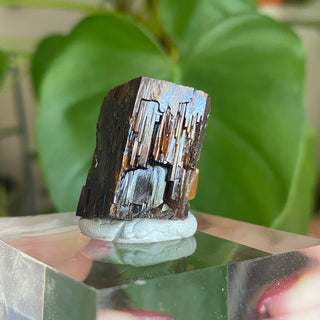 Etched Vanadinite Floater Cluster from Morocco from Curious Muse Crystals Tagged with bright red crystal, creativity key, genuine crystal, hide-notify-btn, Moroccan Vanadinite, red, red crystal, red hexagon crystal, red Vanadinite, sacral chakra, shadow work, vanadinite cluster