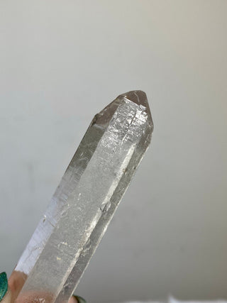Nirvana Clear Quartz Seed Point | High Altitude Himalayan Crystal from Curious Muse Crystals Tagged with clear, hand mined crystal, hide-notify-btn, high altitude quartz, High vibration stone, Himalayan Quartz, manifesting Quartz, Nirvana Quartz, quartz, seed point, self healed crystal