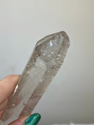Nirvana Clear Quartz Seed Point | High Altitude Himalayan Crystal from Curious Muse Crystals Tagged with clear, hand mined crystal, hide-notify-btn, high altitude quartz, High vibration stone, Himalayan Quartz, manifesting Quartz, Nirvana Quartz, quartz, seed point, self healed crystal