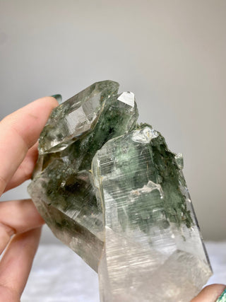 Nirvana Quartz Cluster with Green Chlorite Phantoms | High-Altitude Himalayan Crystal from Curious Muse Crystals Tagged with chlorite inclusion, clear, green, green Quartz, hand mined crystal, hide-notify-btn, high altitude quartz, High vibration stone, Himalayan Quartz, manifesting Quartz, Nirvana Quartz