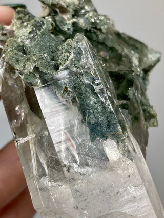 Nirvana Quartz Cluster with Green Chlorite Phantoms | High-Altitude Himalayan Crystal from Curious Muse Crystals Tagged with chlorite inclusion, clear, green, green Quartz, hand mined crystal, hide-notify-btn, high altitude quartz, High vibration stone, Himalayan Quartz, manifesting Quartz, Nirvana Quartz