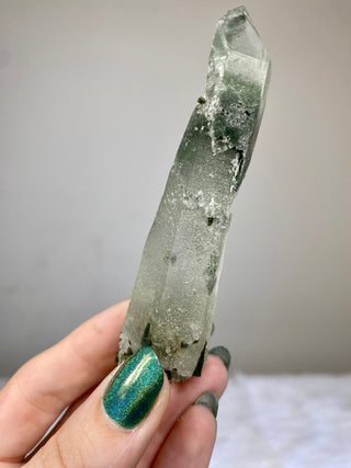 Epidote on Nirvana Quartz Point with Green Chlorite Phantoms - High Altitude Himalayan Crystal from Curious Muse Crystals Tagged with chlorite, clear, epidote, green, hide-notify-btn, high altitude quartz, Himalayan quartz, nirvana quartz, quartz