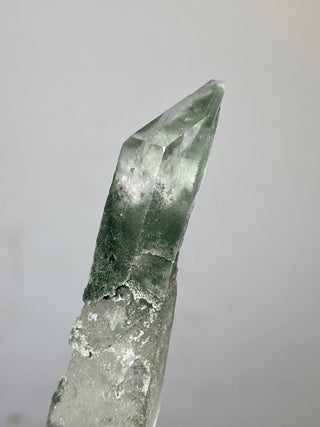 Epidote on Nirvana Quartz Point with Green Chlorite Phantoms - High Altitude Himalayan Crystal from Curious Muse Crystals Tagged with chlorite, clear, epidote, green, hide-notify-btn, high altitude quartz, Himalayan quartz, nirvana quartz, quartz