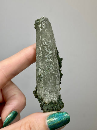 Epidote Cluster on Nirvana Quartz Point | High Altitude Himalayan Crystal from Curious Muse Crystals Tagged with chlorite, clear, epidote, green, hide-notify-btn, high altitude quartz, Himalayan quartz, nirvana quartz, quartz