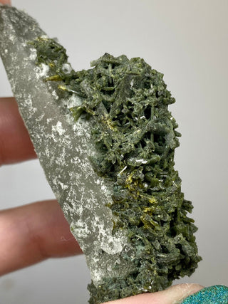 Epidote Cluster on Nirvana Quartz Point | High Altitude Himalayan Crystal from Curious Muse Crystals Tagged with chlorite, clear, epidote, green, hide-notify-btn, high altitude quartz, Himalayan quartz, nirvana quartz, quartz