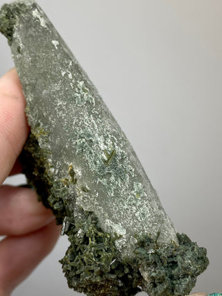 Epidote Cluster on Nirvana Quartz Point | High Altitude Himalayan Crystal from Curious Muse Crystals Tagged with chlorite, clear, epidote, green, hide-notify-btn, high altitude quartz, Himalayan quartz, nirvana quartz, quartz