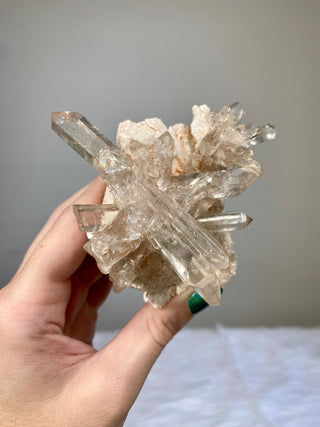 Pink Samadhi Quartz Cluster - High Altitude Himalayan Crystal from Curious Muse Crystals Tagged with clear, hide-notify-btn, high altitude quartz, High vibration stone, Himalayan Quartz, pink, Pink Himalayan, pink quartz cluster, quartz, Samadhi Quartz