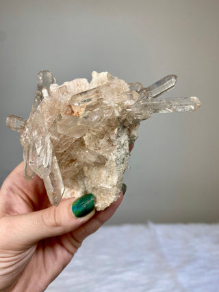 Pink Samadhi Quartz Cluster - High Altitude Himalayan Crystal from Curious Muse Crystals Tagged with clear, hide-notify-btn, high altitude quartz, High vibration stone, Himalayan Quartz, pink, Pink Himalayan, pink quartz cluster, quartz, Samadhi Quartz