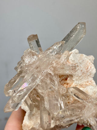 Pink Samadhi Quartz Cluster - High Altitude Himalayan Crystal from Curious Muse Crystals Tagged with clear, hide-notify-btn, high altitude quartz, High vibration stone, Himalayan Quartz, pink, Pink Himalayan, pink quartz cluster, quartz, Samadhi Quartz