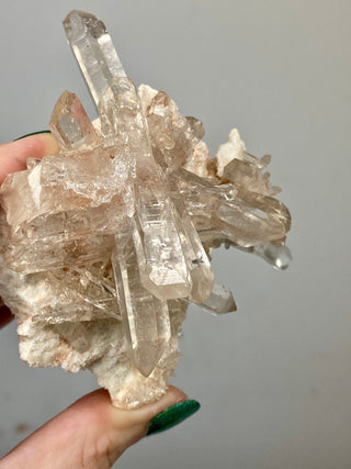 Pink Samadhi Quartz Cluster - High Altitude Himalayan Crystal from Curious Muse Crystals Tagged with clear, hide-notify-btn, high altitude quartz, High vibration stone, Himalayan Quartz, pink, Pink Himalayan, pink quartz cluster, quartz, Samadhi Quartz